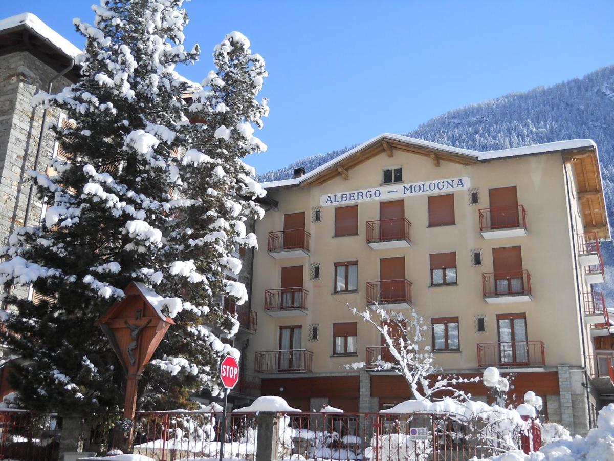 Albergo Mologna Gaby Exterior photo