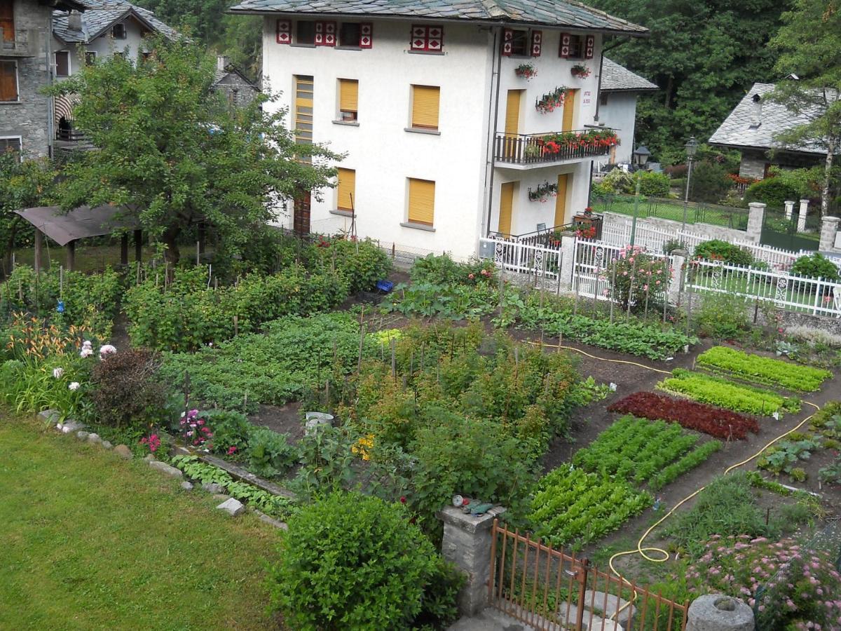 Albergo Mologna Gaby Exterior photo